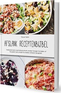afslank receptenbijbel