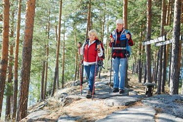 nordic walking poles