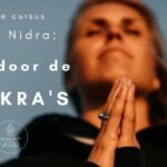 Reis door de chakras banner 2 1