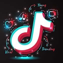 geld verdienen met tiktok